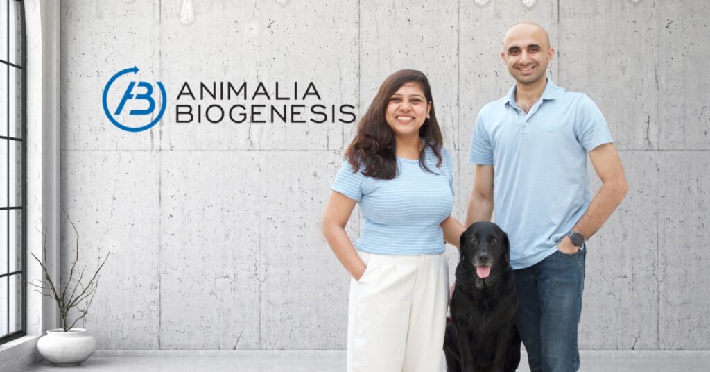 Animalia Biogenesis