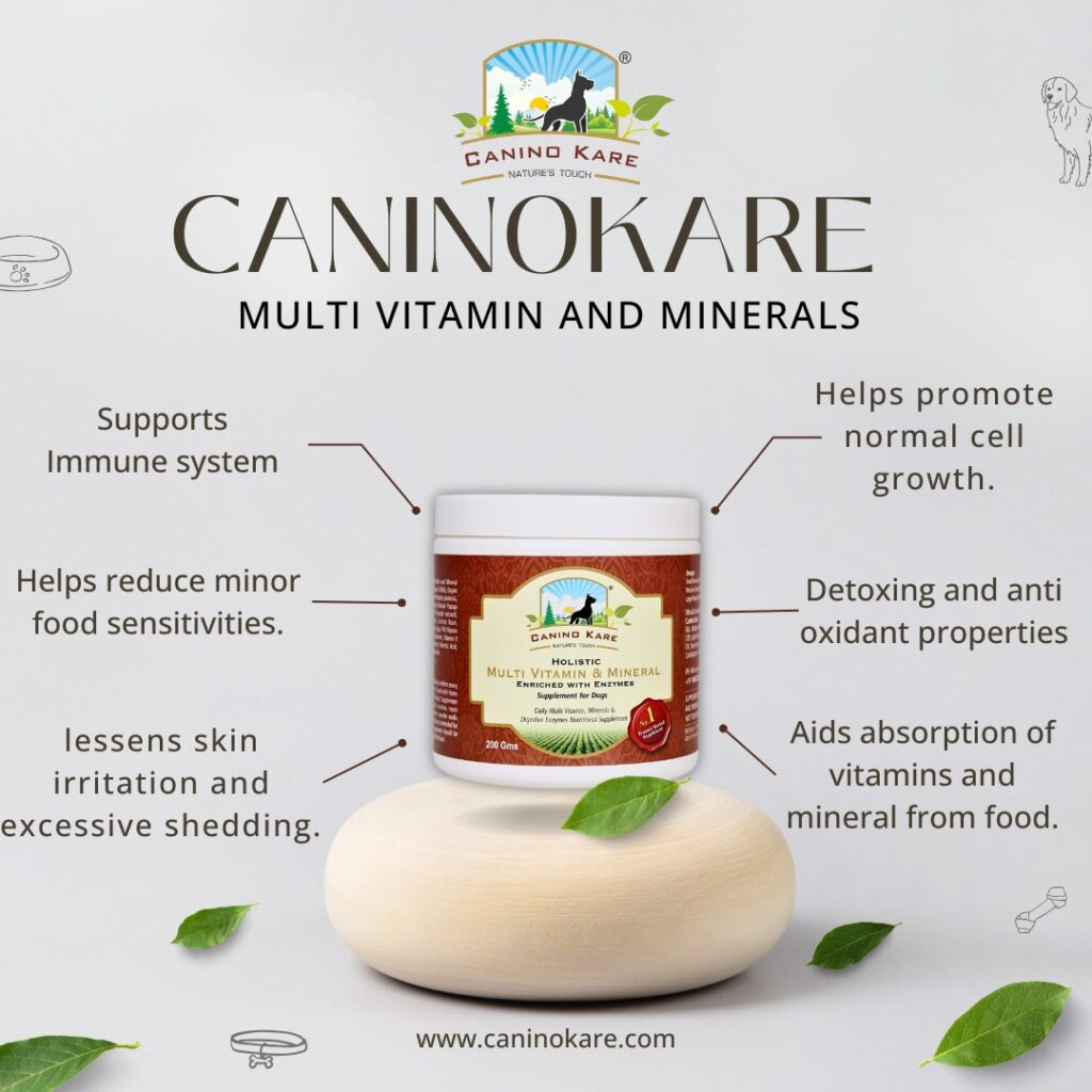 CaninoKare natural pet supplements for holistic canine health
