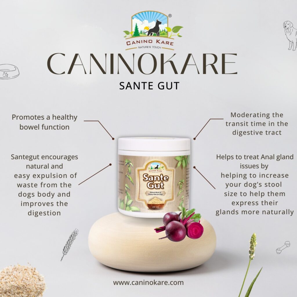 CaninoKare natural pet supplements for holistic canine health
