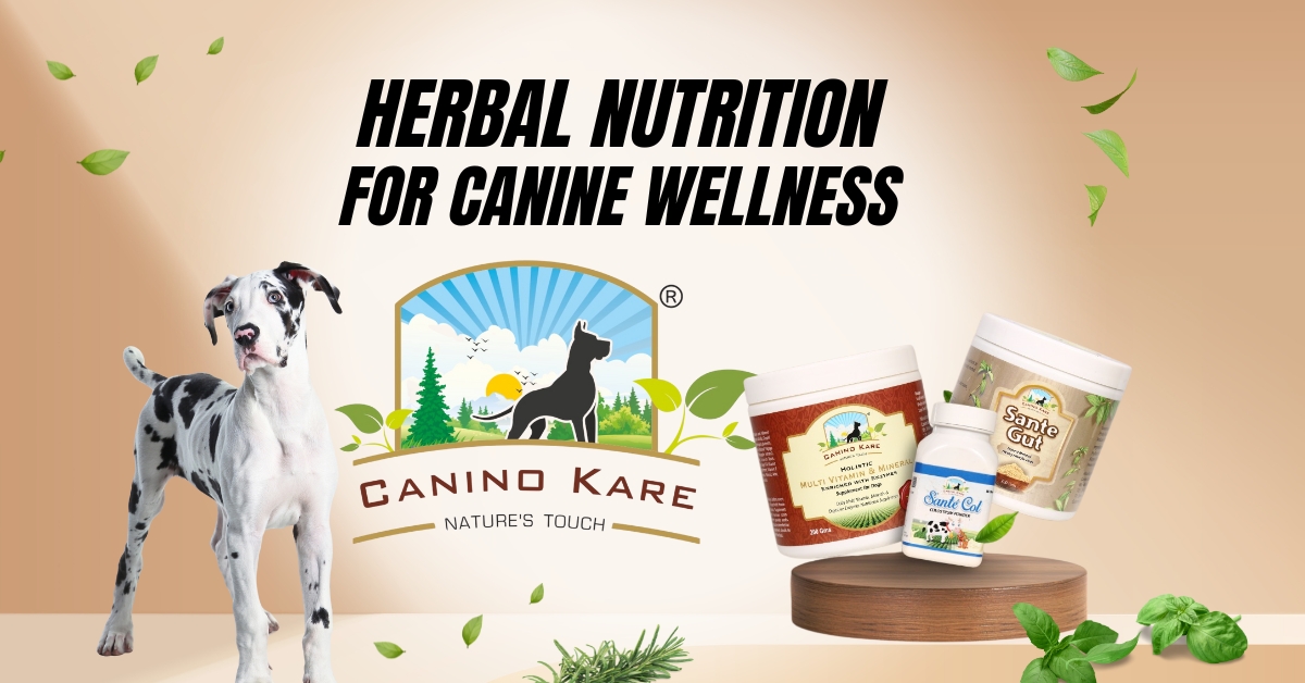 https://edupet.in/caninokare-natural-pet-supplements/