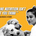 georginas kitchen canine nutritionist