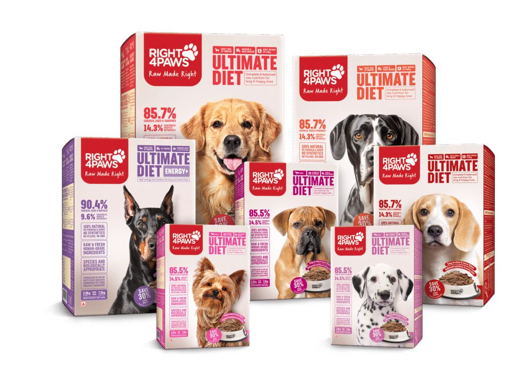 Right4Paws raw dog food India – human-grade, species-appropriate diet for dogs