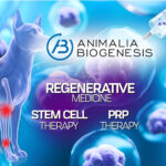 Stem Cell and PRP Therapy for Pets in India Explained