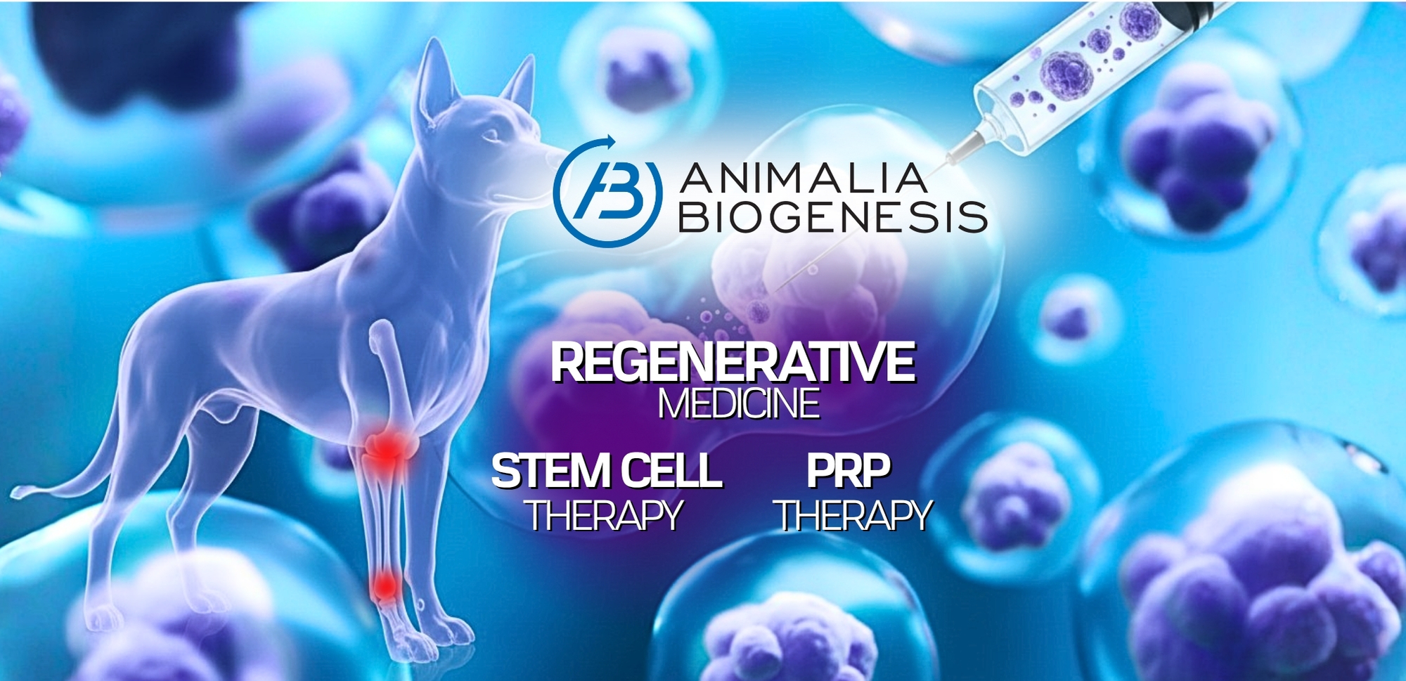 Stem Cell and PRP Therapy for Pets in India Explained