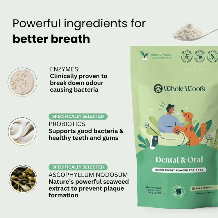 Whole Woofs oral care powder