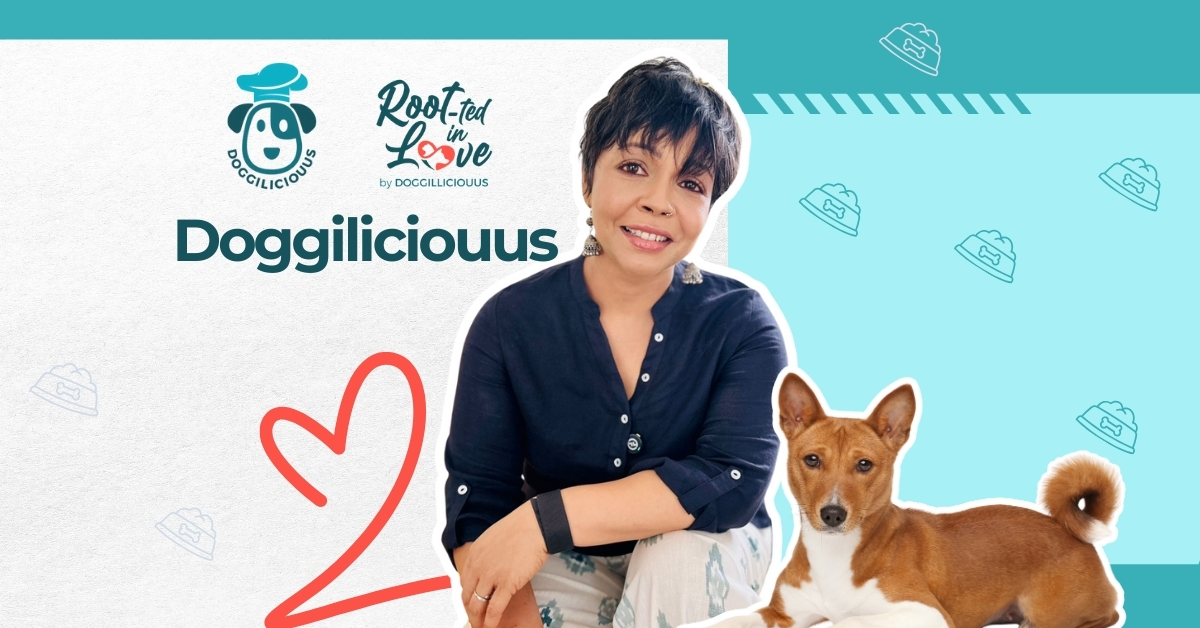 Doggiliciouus holistic dog nutrition India