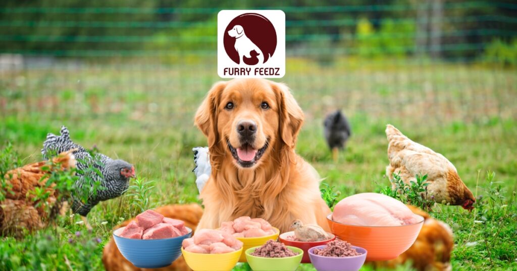 FurrFrendz Fresh Pet Food for Healthier Dogs