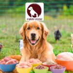 FurrFrendz Fresh Pet Food for Healthier Dogs