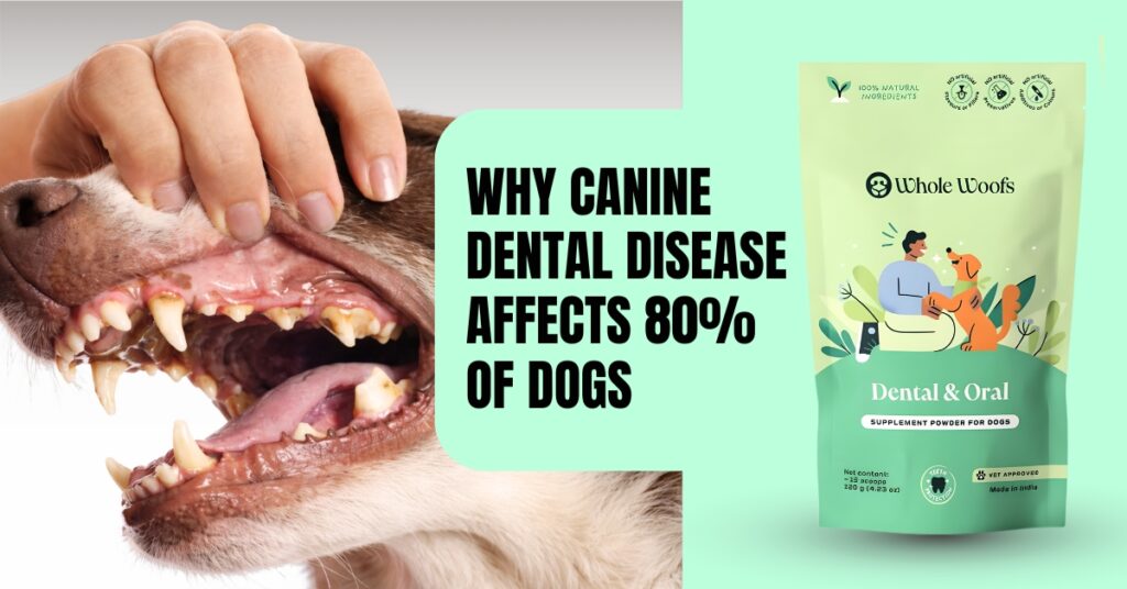 Whole Woofs dental supplement