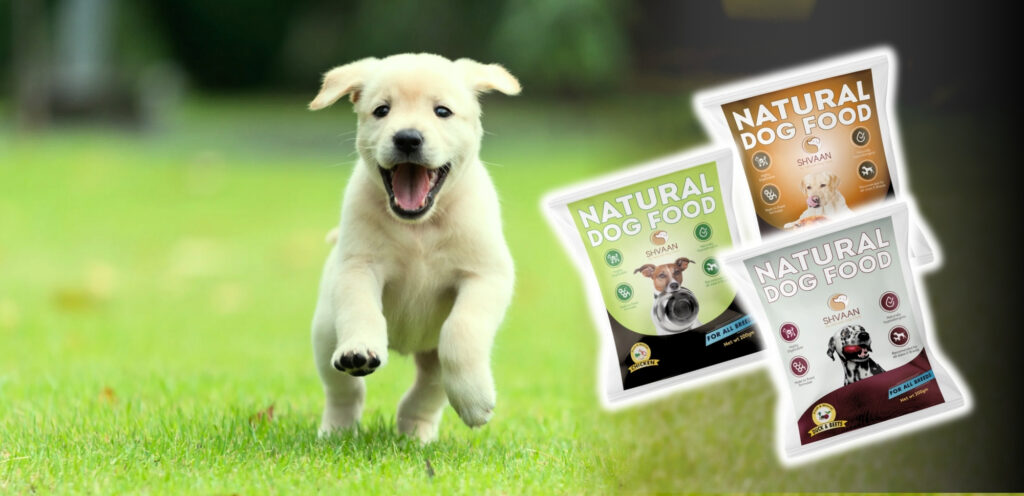 Shvaan Foods: Fresh Dog Food Made Practical