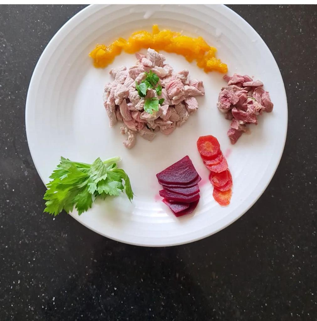 custom dog meal prep