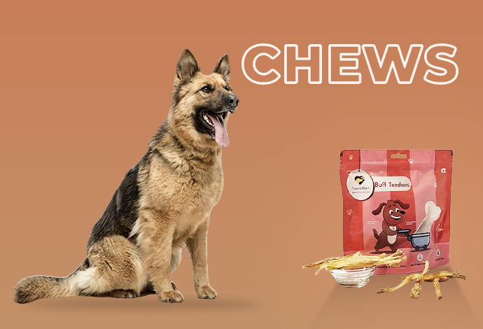 healthy dog chews