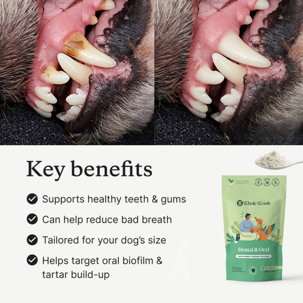 Whole Woofs dental supplement