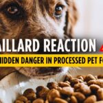 Maillard reaction pet food