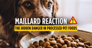 Maillard reaction pet food