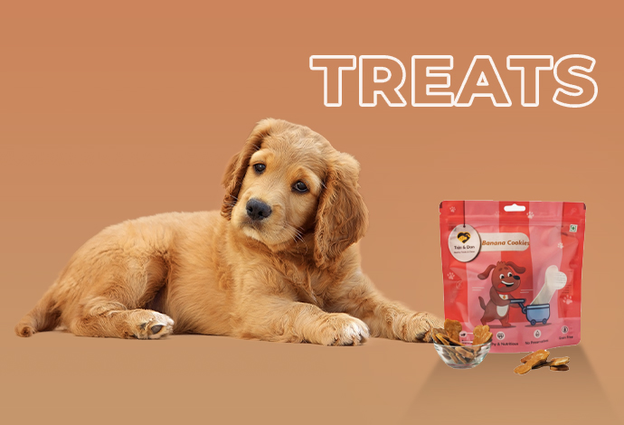 preservative free dog treats