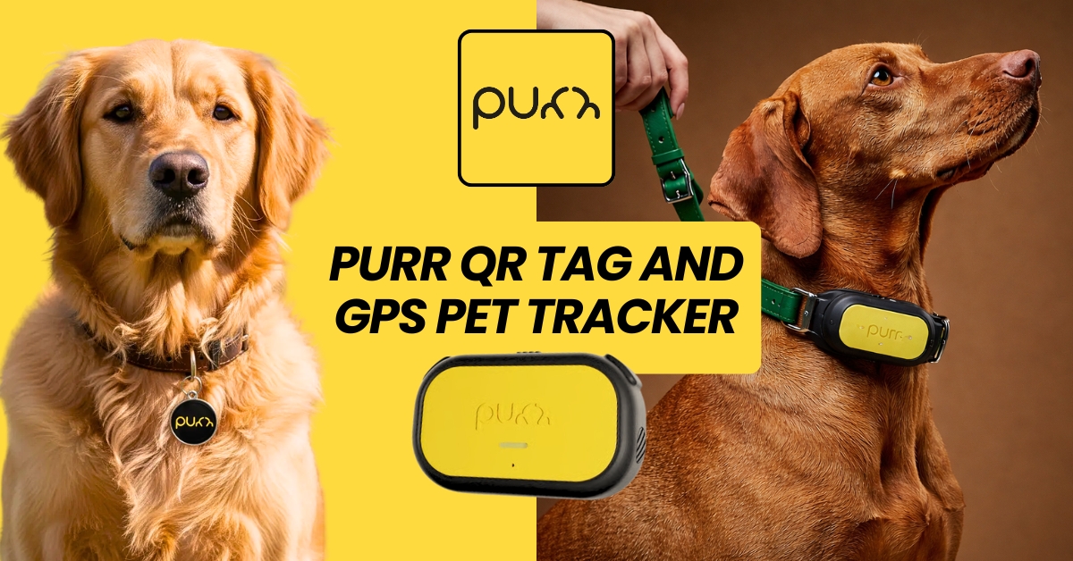Purr QR Tag-Purr GPS Activity Tracker,