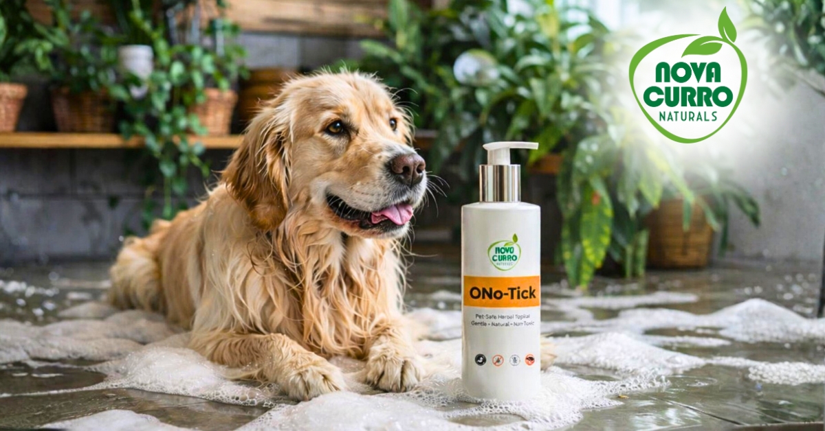 ONO Tick: Natural flea and tick control for pets for smarter tick care